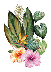 A bouquet of tropical plants. Watercolor.
