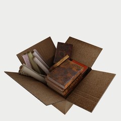 3d render books in cartoon box