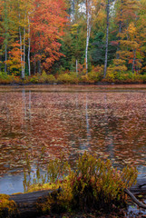 517-66 Water Shields & Autumn Colors