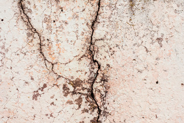 Texture.Wall. It can be used as a background