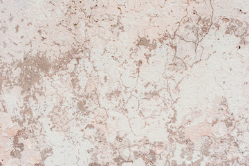 Texture.Wall. It can be used as a background