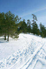A view to Ilgaz Mountain, Kastamonu, Turkey