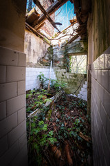 Lost place abandoned bathroom with bathtub full of tiles, plants