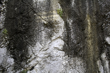 Rocky mountain texture