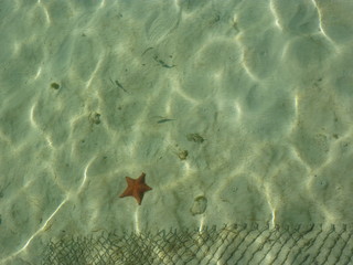 mare cristallino