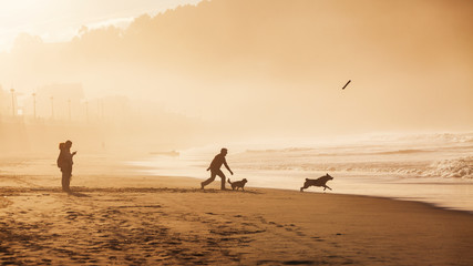 Fototapeta na wymiar Familia en la playa al atardecer jugando con los perros