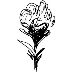 Engraved Vector Hand Drawn Illustrations Of Abstract Flowers Isolated on White. Hand Drawn Sketch of a Flower