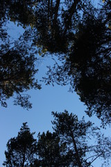 Obraz premium I'm still waiting