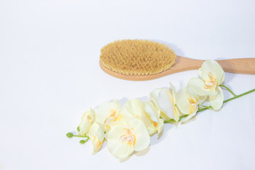 Obraz na płótnie Canvas Brush for dry massage. New cosmetology. Getting rid of cellulite and stretch marks. Proper skin care. Spa treatments.