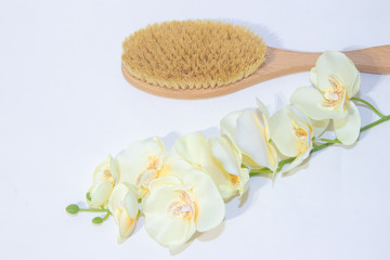 Brush for dry massage. New cosmetology. Getting rid of cellulite and stretch marks. Proper skin care. Spa treatments.