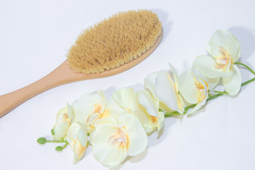 Brush for dry massage. New cosmetology. Getting rid of cellulite and stretch marks. Proper skin care. Spa treatments.