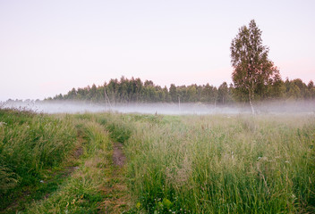 Beautiful thick fog sunrise Autumn Fall landscape over fields with treetops visible through fog