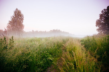 Beautiful thick fog sunrise Autumn Fall landscape over fields with treetops visible through fog