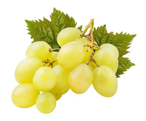 Fresh grapes isolated on white background with clipping pass