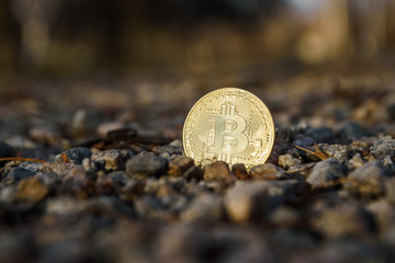 Gold coin bitcoin in the light gravel. Mining bitcoins. Search bitcoin. 