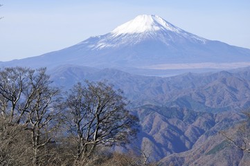 Fototapeta na wymiar 初冬の富士山