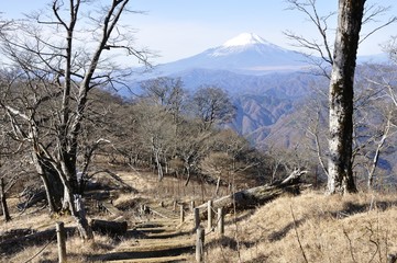 晩秋の檜洞丸に富士山