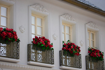 Fototapeta na wymiar Beautiful tall windows with red flowers and a wrought-iron balcony grille on a white wall