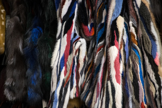Coloured Mink Fur Coats hung up in shop