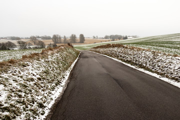 Empty road in the danish countryside