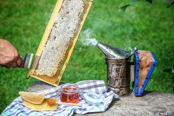 close-up Beekeeper uncapping honeycomb with special beekeeping fork. Raw honey being harvested from bee hives. Beekeeping concept