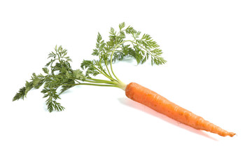Ripe fresh carrot isolated on white background