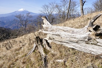 初冬富士山眺望