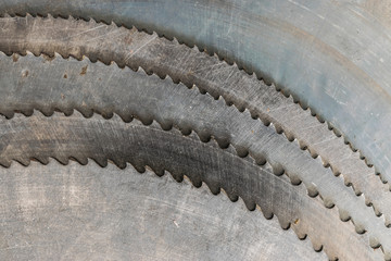 circular saw blades
