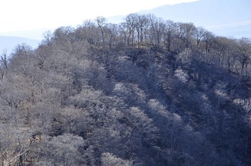 晩秋のテシロノ頭