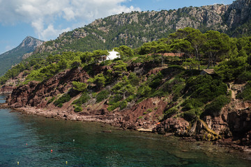 a hill by the sea with a sloping coast on a rocky coastline; green shrubs along the shore of the sea