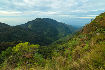 Naklejka premium Panoramic Mountain Landscape view on sunrise cloud forest Worlds End in Horton Plains National Park Sri Lanka.