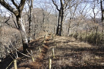 晩秋の石棚山稜の道