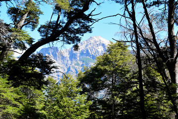 Montañas en primavera