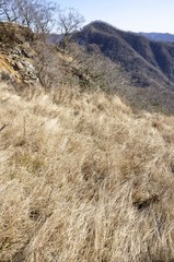 石棚山稜の草原と同角ノ頭