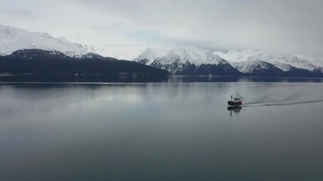 Commercial halibut fishing boat traveling Resurrection bay and the port and harbor of Seward Alaska 