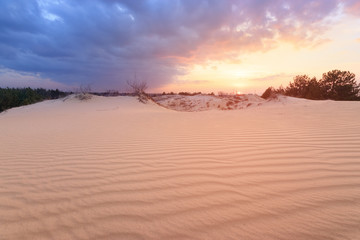 sunset on sand dunes / bright colors of early spring