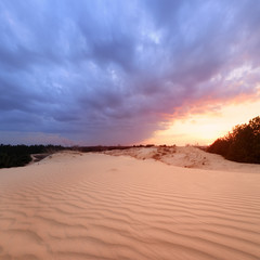 sunset on sand dunes / bright colors of early spring
