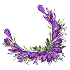 Fototapeta na wymiar Purple crocus flower wreath. Watercolor style illustration on white background. Spring wedding invite card. Designer element.