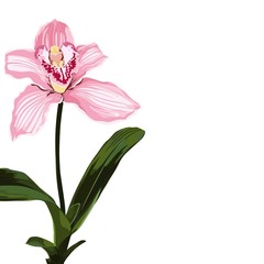 Tropical exotic pink orchid flower plant, elegant card template. Small floral garland.