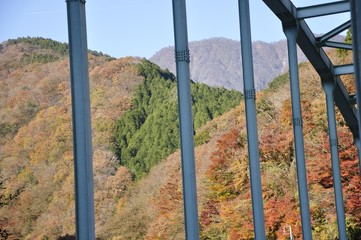 Fototapeta premium 西丹沢橋の紅葉