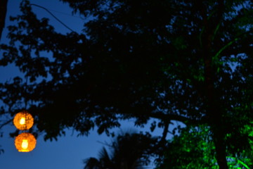 luz
