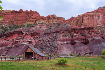 Historic barn with horses in the Capitol Reef National Park, Utah