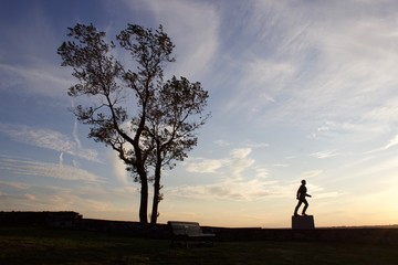 Fototapeta premium Silhouette of a Statue and a Tree