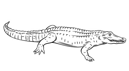 Crocodile, outline vector