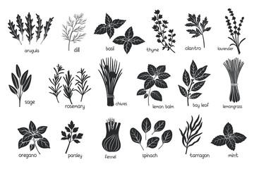 Black herbs spices silhouettes