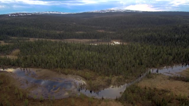 Aerial view of spruce forest and swamp in spring time. Taiga landscape on a cloudy day
