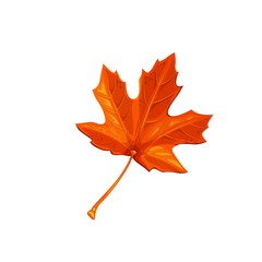 Maple leaf, fall