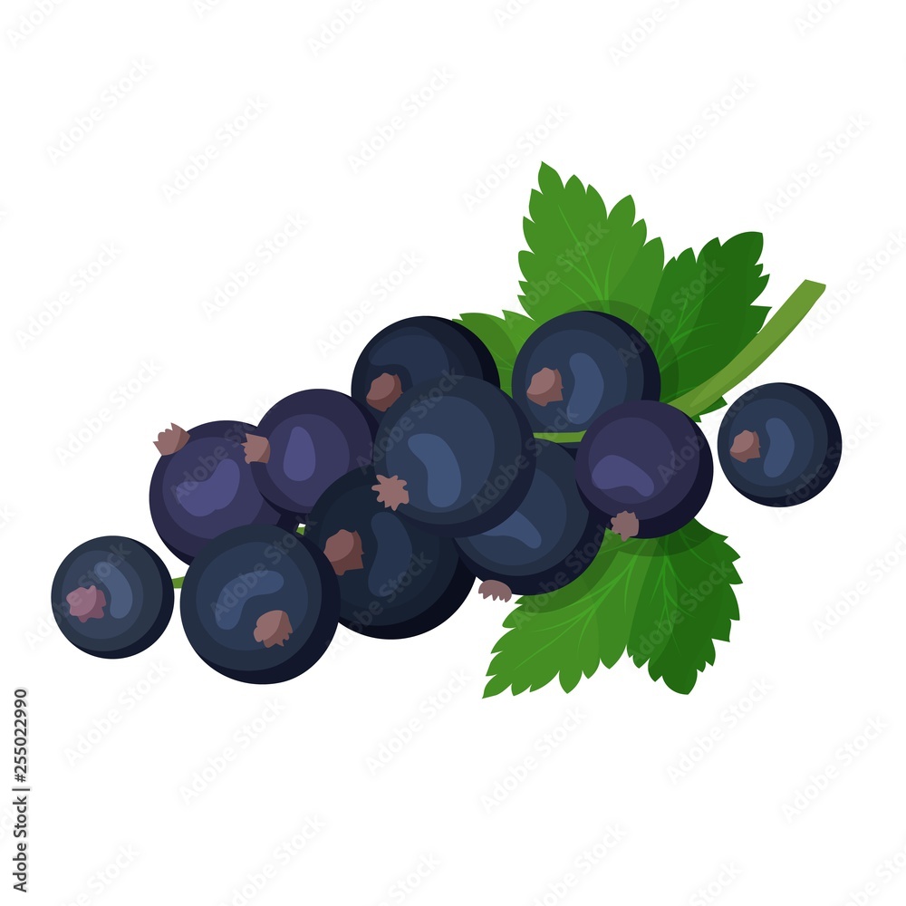 Wall mural Black currant icon. - Wall murals