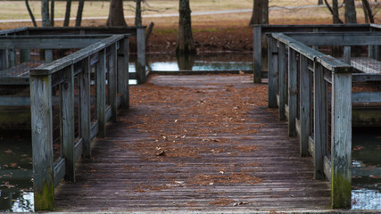 Obraz premium Wooden Pavilion Leading to Water