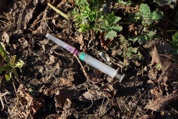 white syringe with a needle lying on the ground and dry leaves